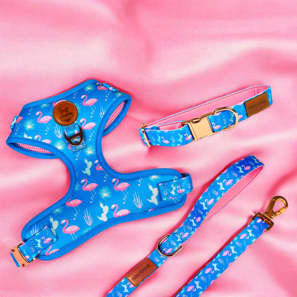 Flamingo Fiesta Harness